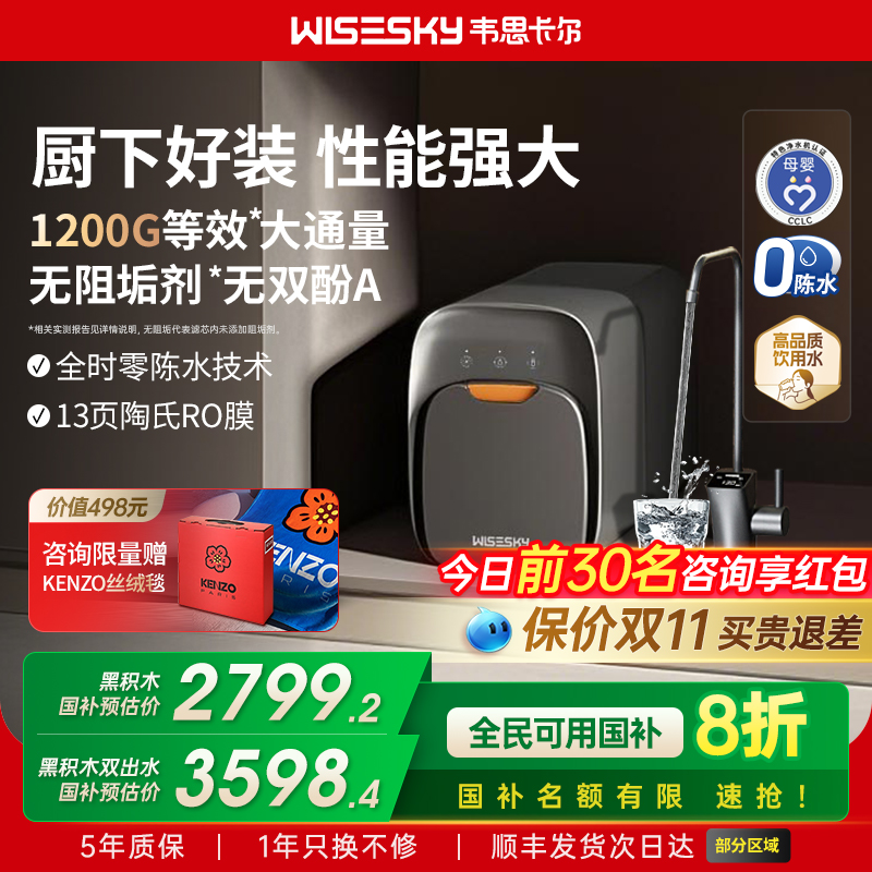 韦思卡尔黑积木净水器