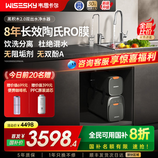 直饮家用 韦思卡尔黑积木2.0净水器双出水净水机分体式 国补20%