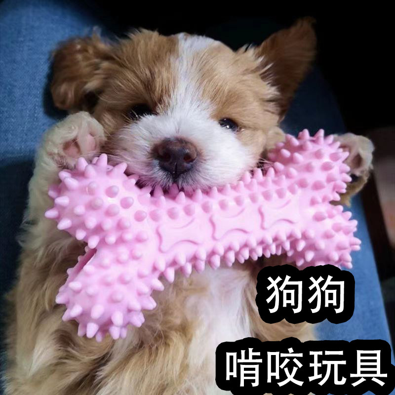 耐咬磨牙棒宠物解闷神器图片