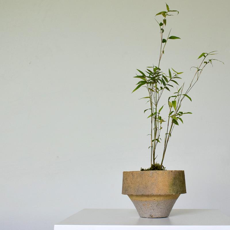 景德镇复古粗陶竹子花卉花盆桌面透气块根植物盆菖蒲苔藓盆红陶