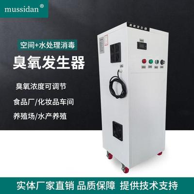 50克100g臭氧产生器食品厂车间臭氧消毒机水产养殖场水处理杀菌机