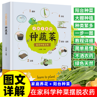 正版速发种蔬菜的书手把手教你种蔬菜种菜宝典蔬菜栽培种植技术大全书籍阳台种菜栽培实用手册适合9月秋天种的盆栽蔬菜冬天