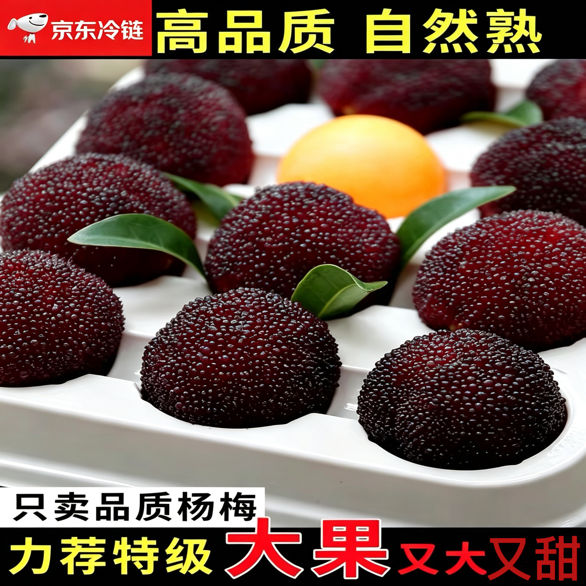 [特级大果]杨梅新鲜兰溪杨梅正宗浙江大东魁杨梅孕妇水果现摘整箱