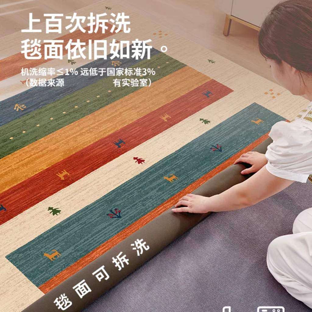 双层可拆洗地毯客厅可机洗水洗沙发茶几轻奢高级感简约卧室床边毯