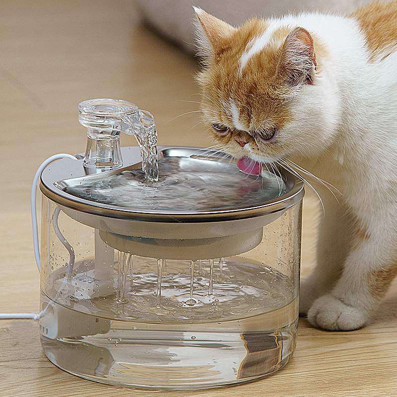 玻璃猫狗大容量2L喝水盆多猫循环自动过滤喷泉宠物智能饮水机,自行车/骑行装备/零配件,更多零件/配件,淘宝优惠券,粉丝福利购,淘宝优惠卷