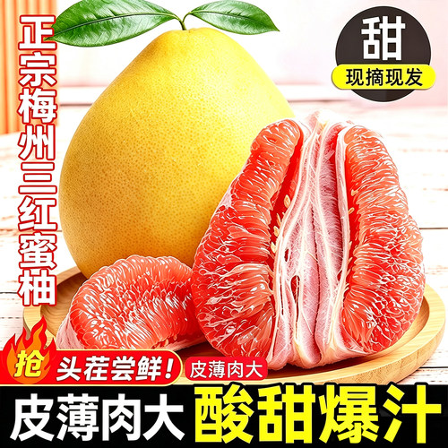 正宗梅州三红蜜柚包邮