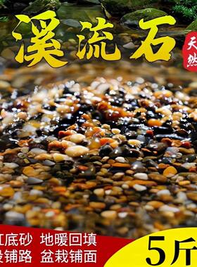 【鱼缸盆栽天然沙石】原生溪水石