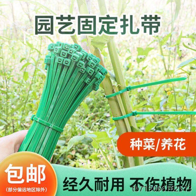 树枝绑带园艺尼龙扎带捆扎线绿植爬藤蔓植物花架捆绑带花卉固定器