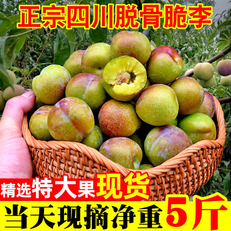 四川脱骨李子新鲜青红脆甜李空心半边红茵红李五月脆李脆红李水果