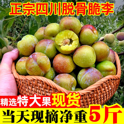 四川脱骨李子新鲜青红脆甜李空心半边红茵红李五月脆李脆红李水果