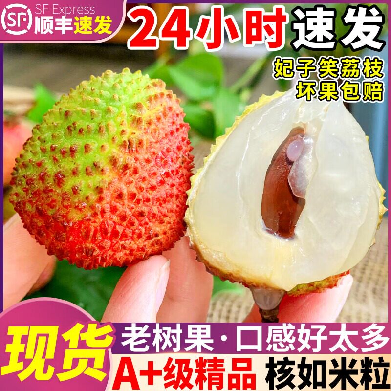 顺丰包邮妃子笑荔枝5斤新鲜水果当季现摘桂花荔枝香老树大果整箱