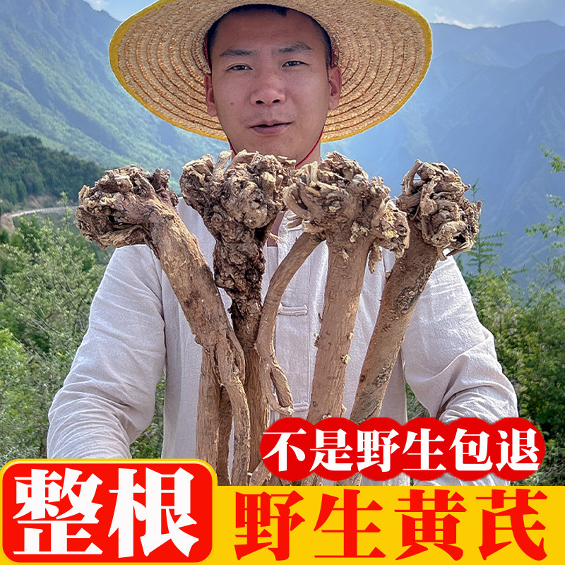 甘肃岷县深山采挖纯野生黄芪中药材整根条无硫无农残新货泡水煲汤