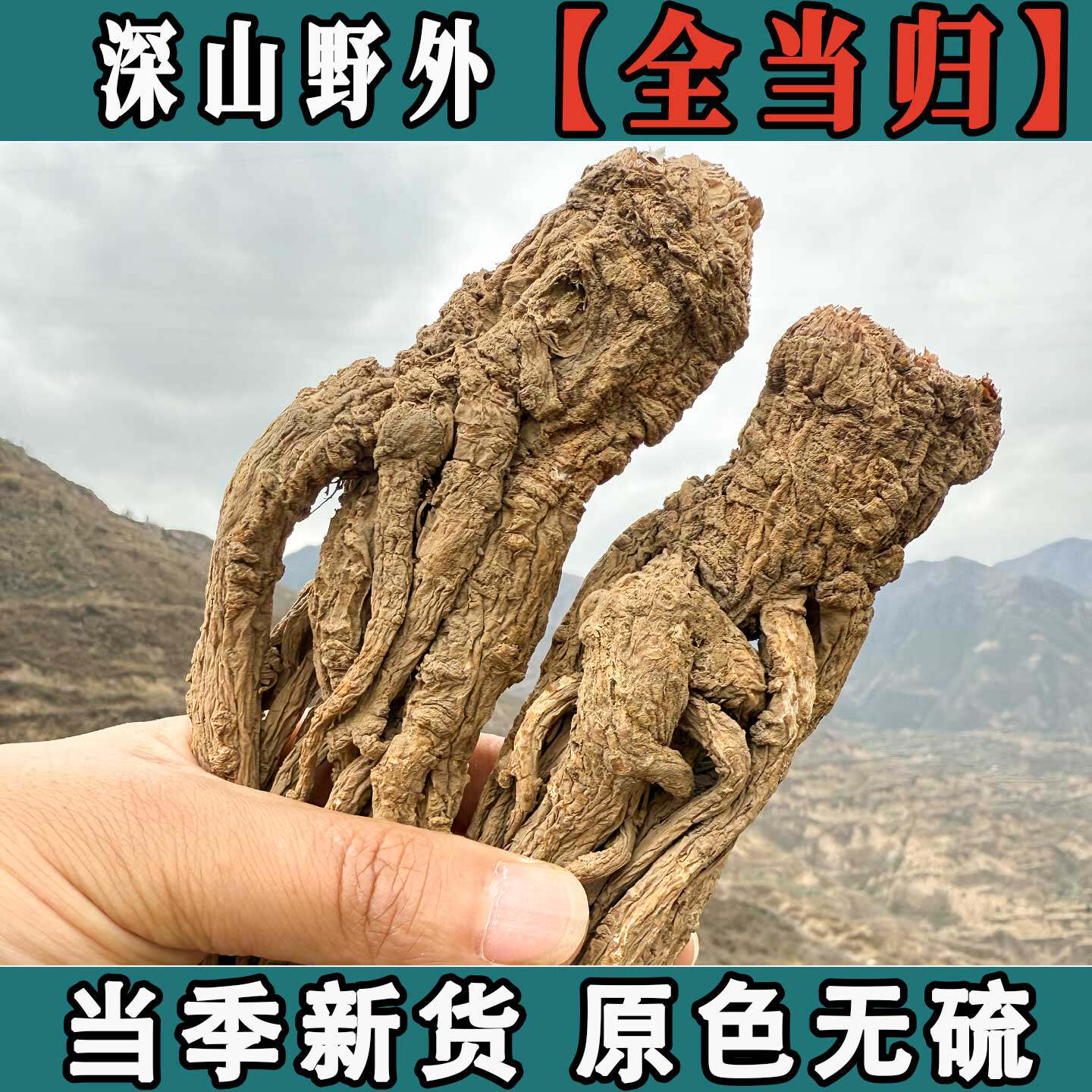 当归岷县全当归整根500克g甘肃中药材野生特级正品党归片黄芪党参