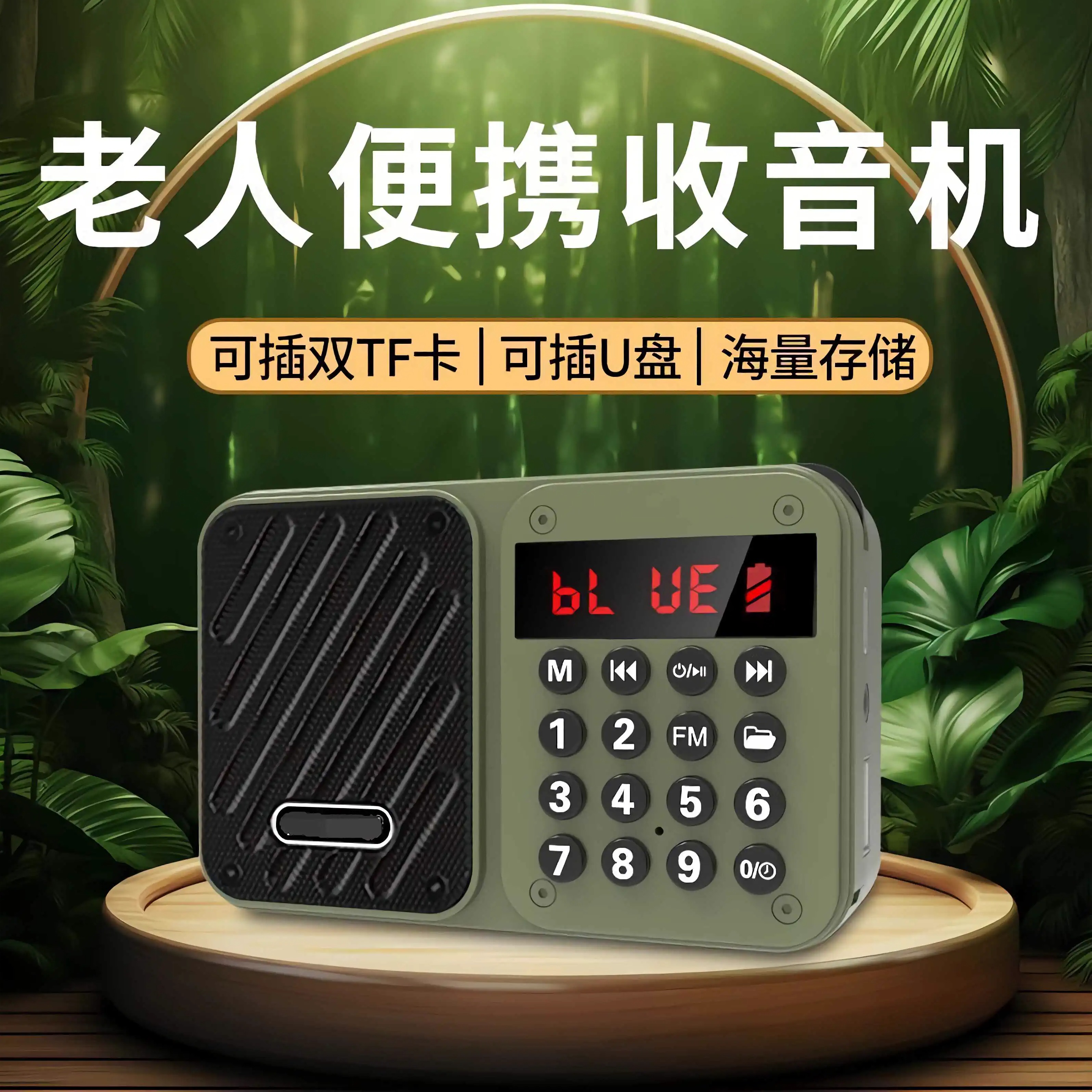 双内存卡收音机现代播放记忆