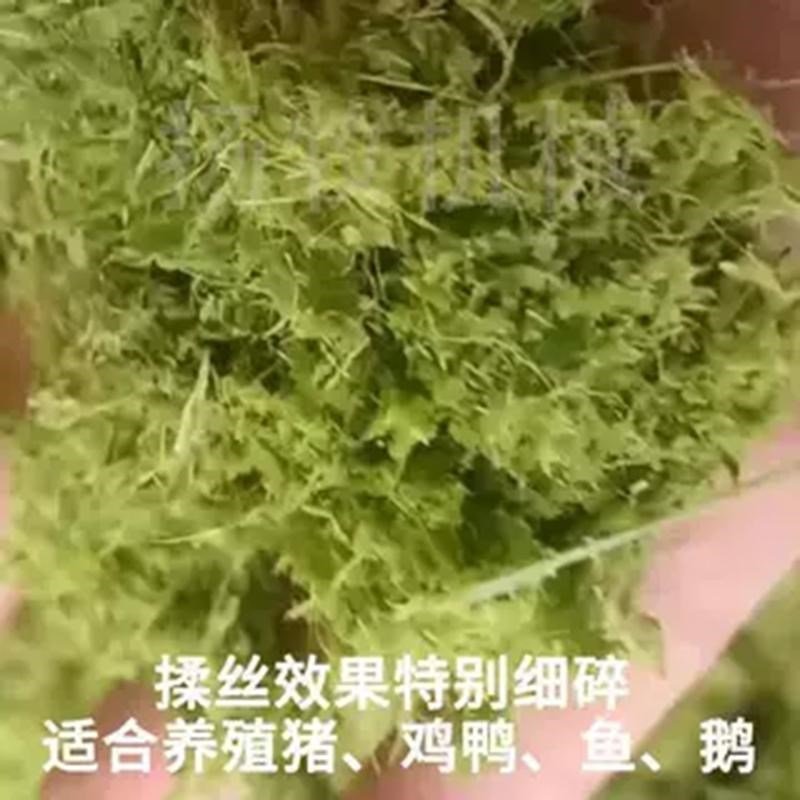 超细粉牧草打浆机干湿两用小型多功能家用养殖鸭鹅U大型养猪粉碎图片