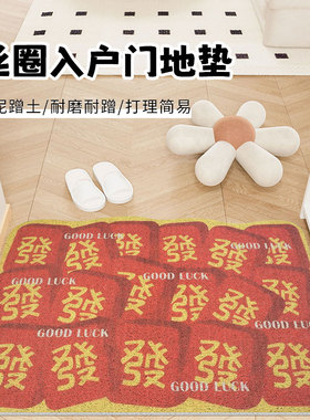 入户门地垫红色丝圈门垫进门脚垫玄关门家用乔迁喜庆地毯2025新款