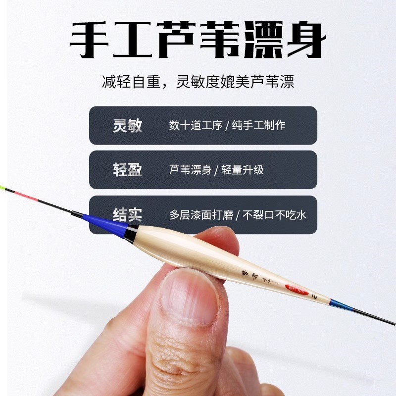 梦者电子a漂芦苇夜光漂高灵敏日夜两用柔光高亮不花眼醒目夜钓浮