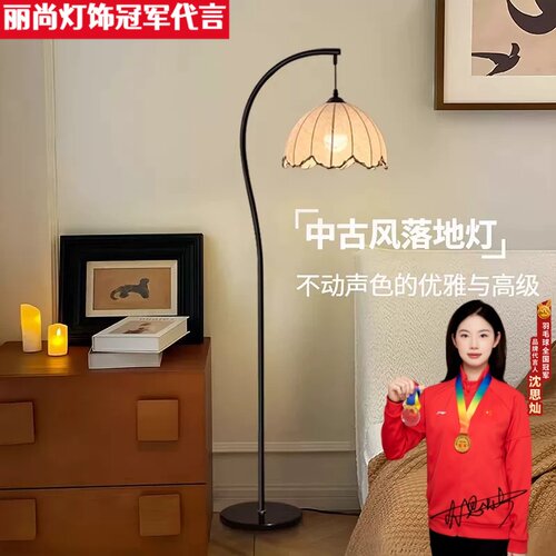 第三代升级网红中古风客厅落地灯