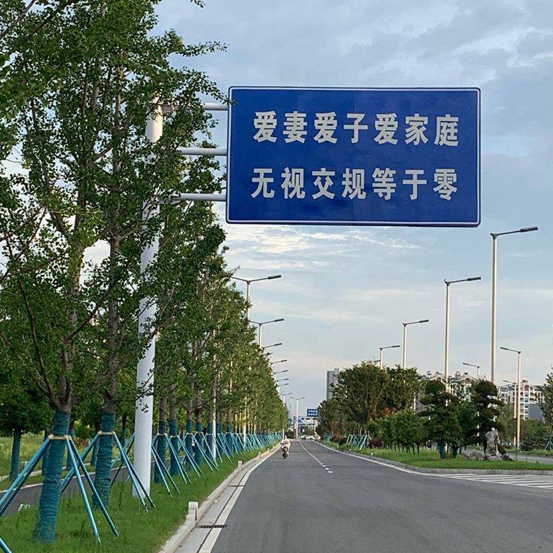 路标指示牌交通标志牌厂家定制出入口标志牌交通标识限速牌