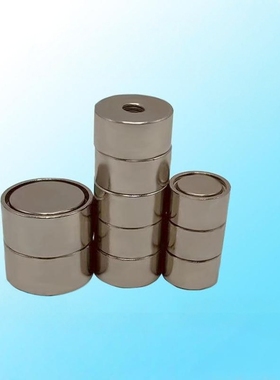 BLS81/BMH32/33/46/51/61-D4/D5/D6/8/D10/13/16/20/25带座强磁铁