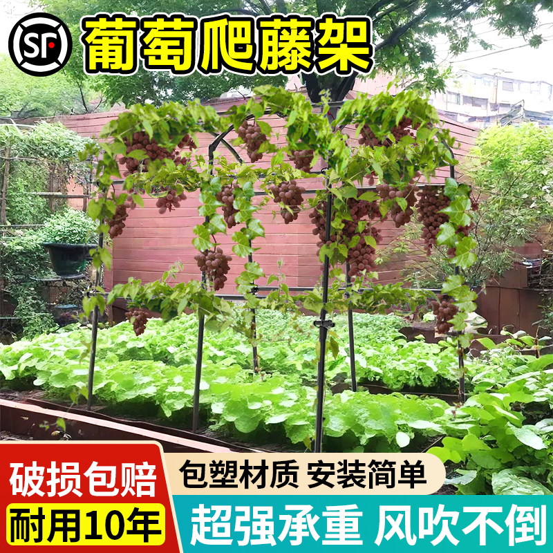 现货速发葡萄架爬藤架花架豆角黄瓜架子包塑钢管植物种菜搭架园艺