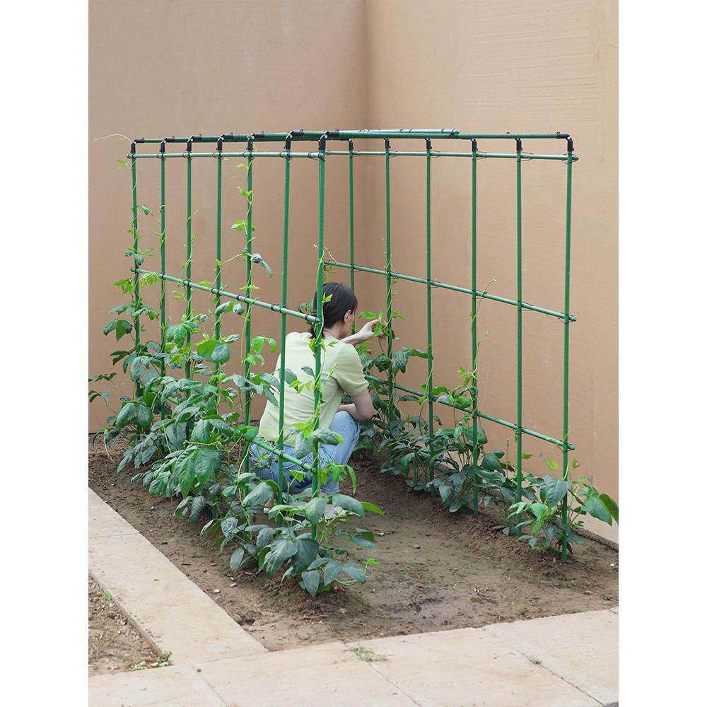 四季豆架杆黄瓜豆角蔬菜爬藤架种菜番茄西瓜支撑杆植物棚搭花架子