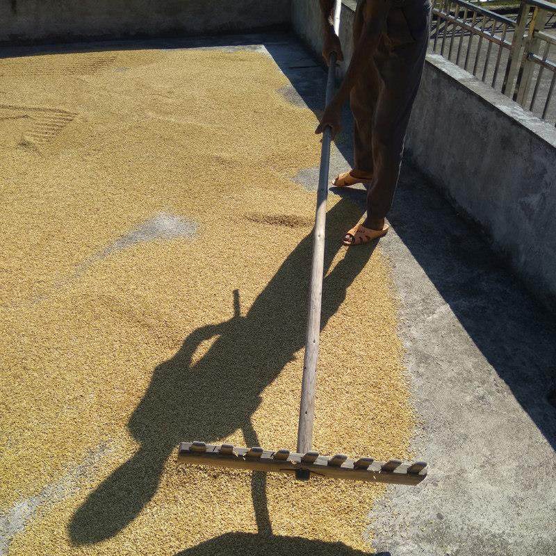 农用工具大全齿耙晒谷除雪刮沙土灰整理秧田家用农具道具木板包邮,农机/农具/农膜,耙子,淘宝优惠券,粉丝福利购,淘宝优惠卷