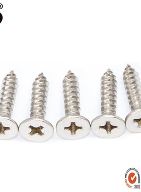 厂304不锈钢十字EVC沉自攻螺G丝B846十家字平头头自攻ST6.3*19