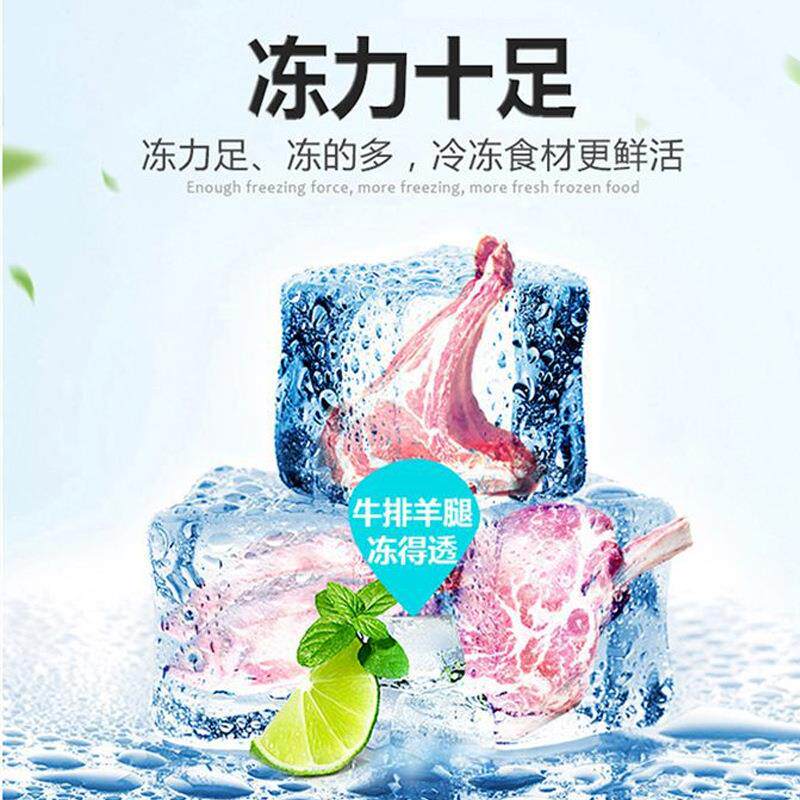 式铭雪柜商用卧377冰箱发门雪糕冰大容量冷饮柜酒店冷冻泡雪柜低