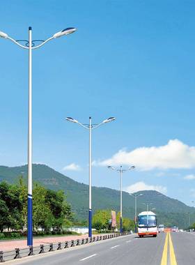led市电路村灯5米6米道路高杆led路灯杆灯DMQ新农阳太能路灯道路