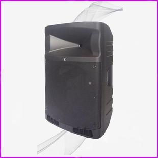 专业箱箱体室志豪ZM1ZM15-15-1大功音响音会议K歌率音响空音箱塑