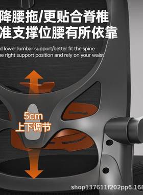 电脑久椅子舒适家坐用办公座椅人体学工学801B靠背电竞椅升降书桌