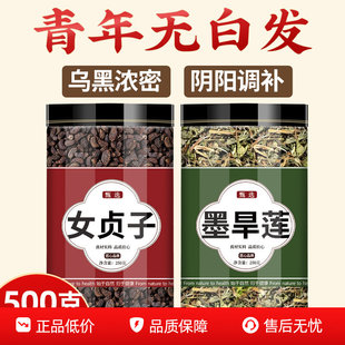 女贞子和墨旱莲正品官方旗舰店新鲜中药材组合泡水喝的功效与作用