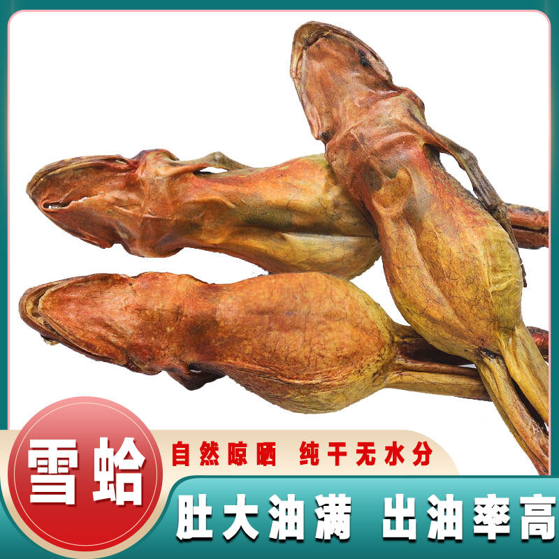 雪蛤干正品官方旗舰店长白山东北整只蛤蟆干林蛙油雪蛤油新鲜干货