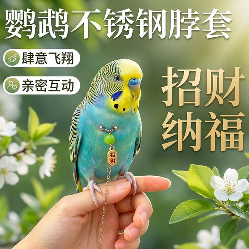 鹦鹉不锈钢防咬防逃牵引颈环