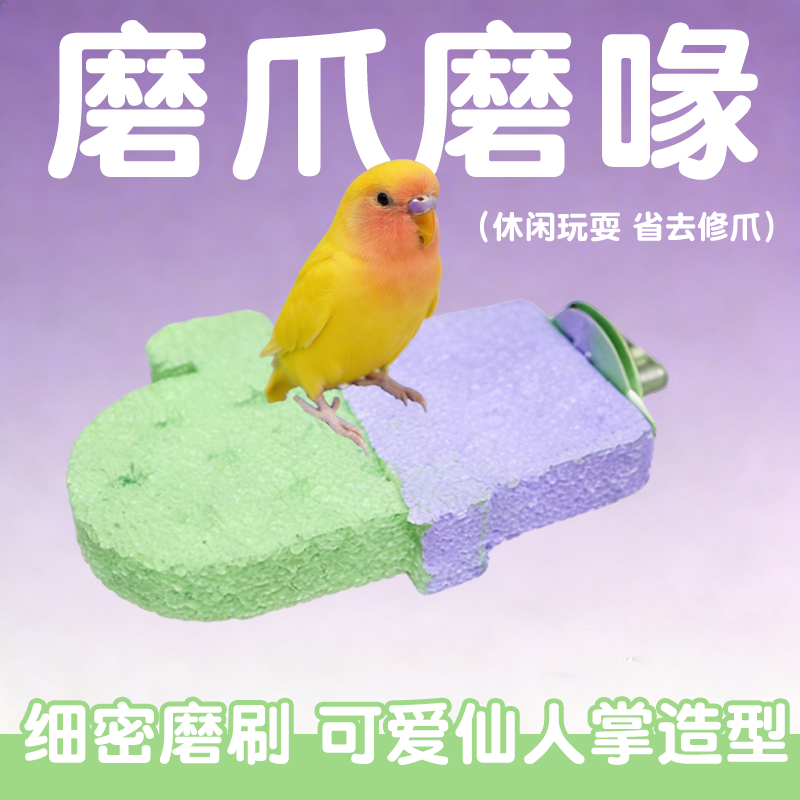 鹦鹉仙人掌磨砂站杆鸟类磨爪磨嘴玩具可水洗矿物质站架鸟笼休息台,宠物/宠物食品及用品,鸟禽其他,淘宝优惠券,粉丝福利购,淘宝优惠卷