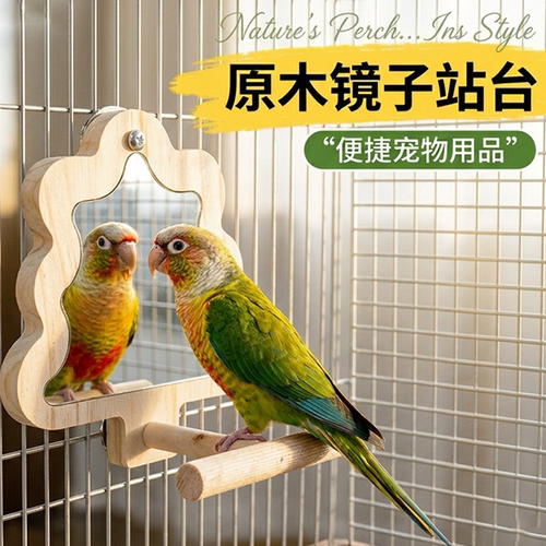 实木鹦鹉镜站架解闷自嗨