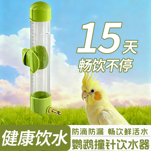 鸟用饮水器鹦鹉自动撞针喂水器
