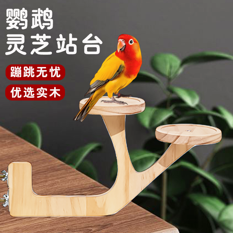 新款鹦鹉灵芝站台实木跳台玄凤虎皮攀爬绳鸟笼造景休息站架鸟玩具,宠物/宠物食品及用品,鸟玩具,淘宝优惠券,粉丝福利购,淘宝优惠卷