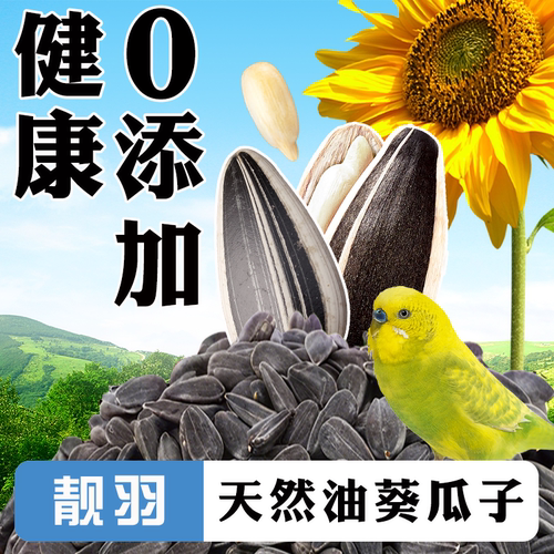鹦鹉油葵瓜子零食奖励磨牙鸟粮