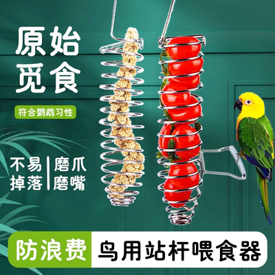 升级款鸟用带站杆喂食器防浪费水果叉鹦鹉悬挂式零食架鸟用觅食器