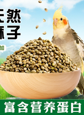 鹦鹉天然鸟粮麻子护毛亮羽火麻子奖励训练鸟饲料火麻籽油纸皮鸟食