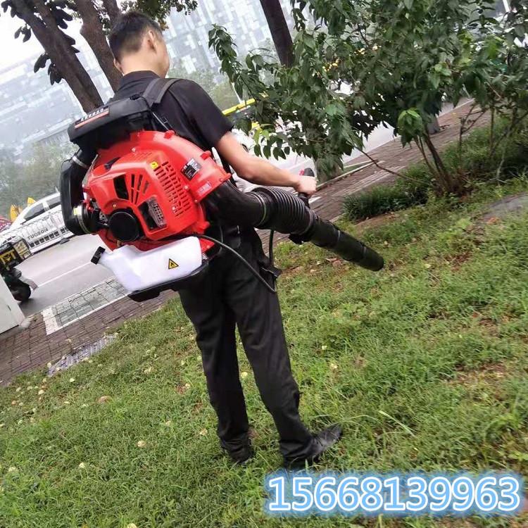 工业吹风机大功率消防鼓风机 背负式工地用吹灰尘机 吹树叶机