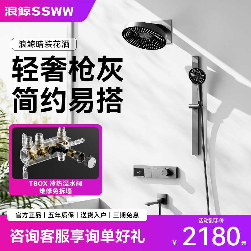 浪鲸入墙式暗装花洒T3