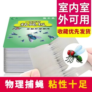 强力粘蝇板粘蚊虫板苍蝇纸夏天无烦恼 拍一发50张
