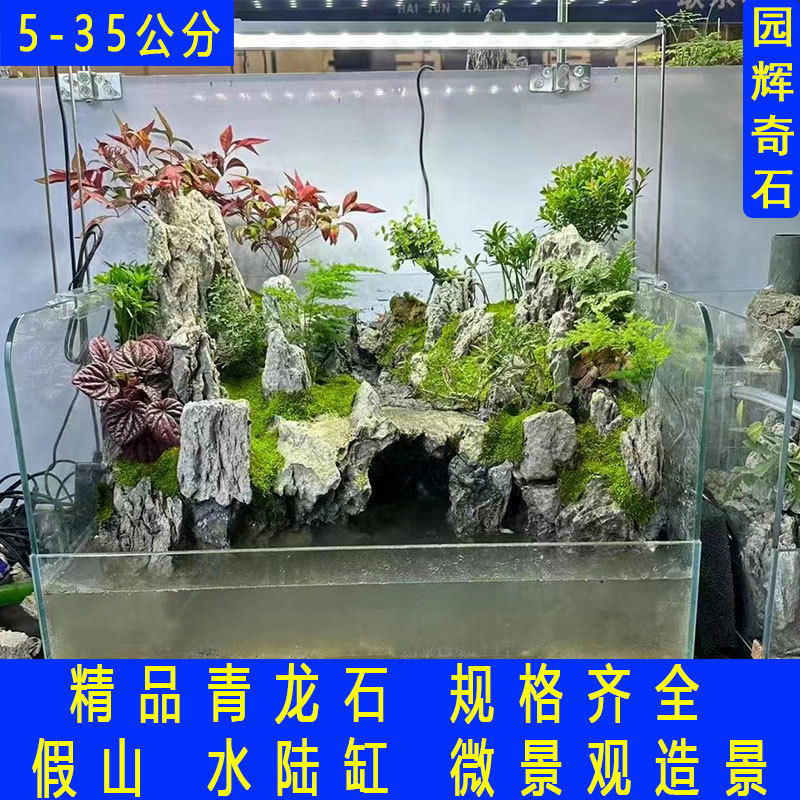 青龙石水族鱼缸造景石微景观造景园林假山石英德产地天然青龙石