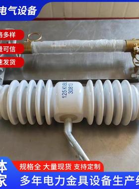 户外熔高压跌落式熔断器RW121AVZ2-/10A-2000A户外10kv高压断