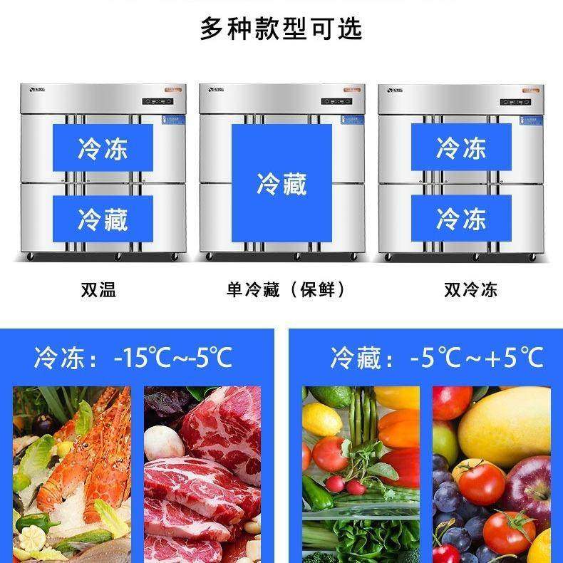爱雪六门商用冰柜示冰箱双机双温485容量立大冷式藏冷冻柜保鲜柜