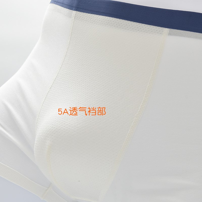 学生内裤棉白色宝宝平角裤中大童内裤男童短裤四角裤A类无痕抗菌