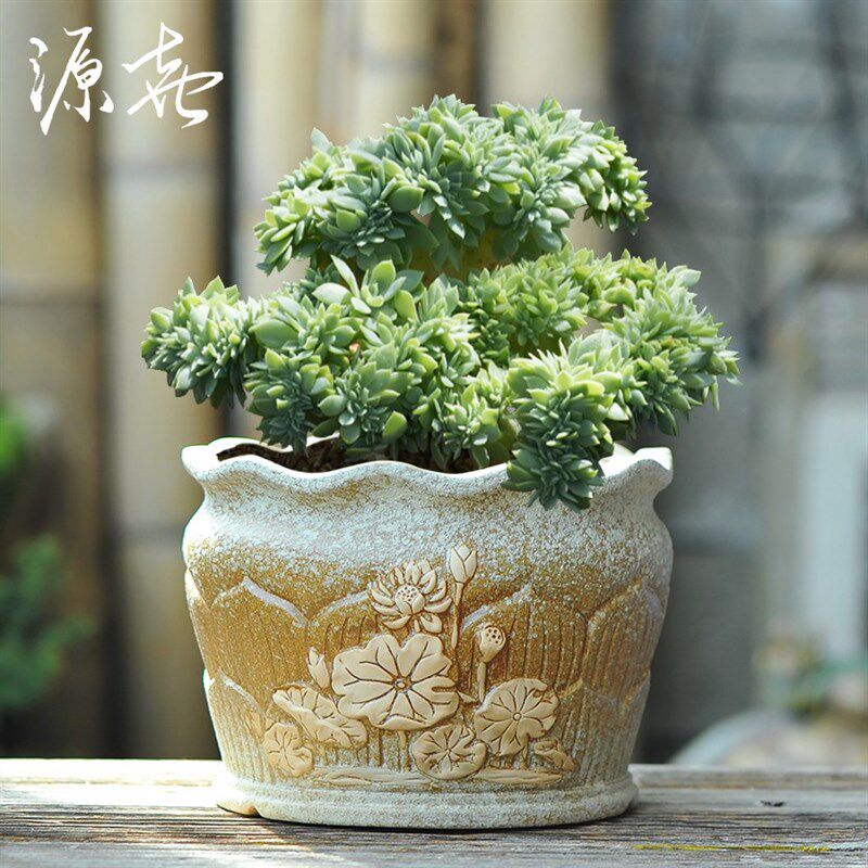 多肉花盆家用陶瓷兰花蝴蝶兰网红盆景大号陶盆君子兰大口径兰花盆